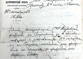Дело злой собаки «шоколадного короля»